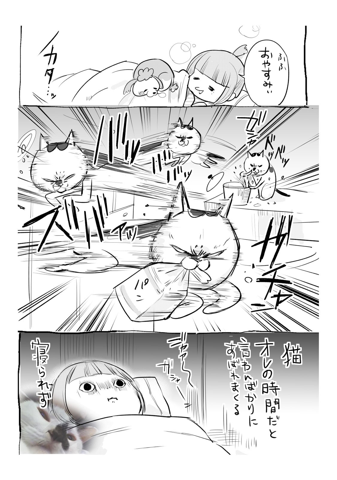 犬と猫どっちも飼ってると毎日たのしい