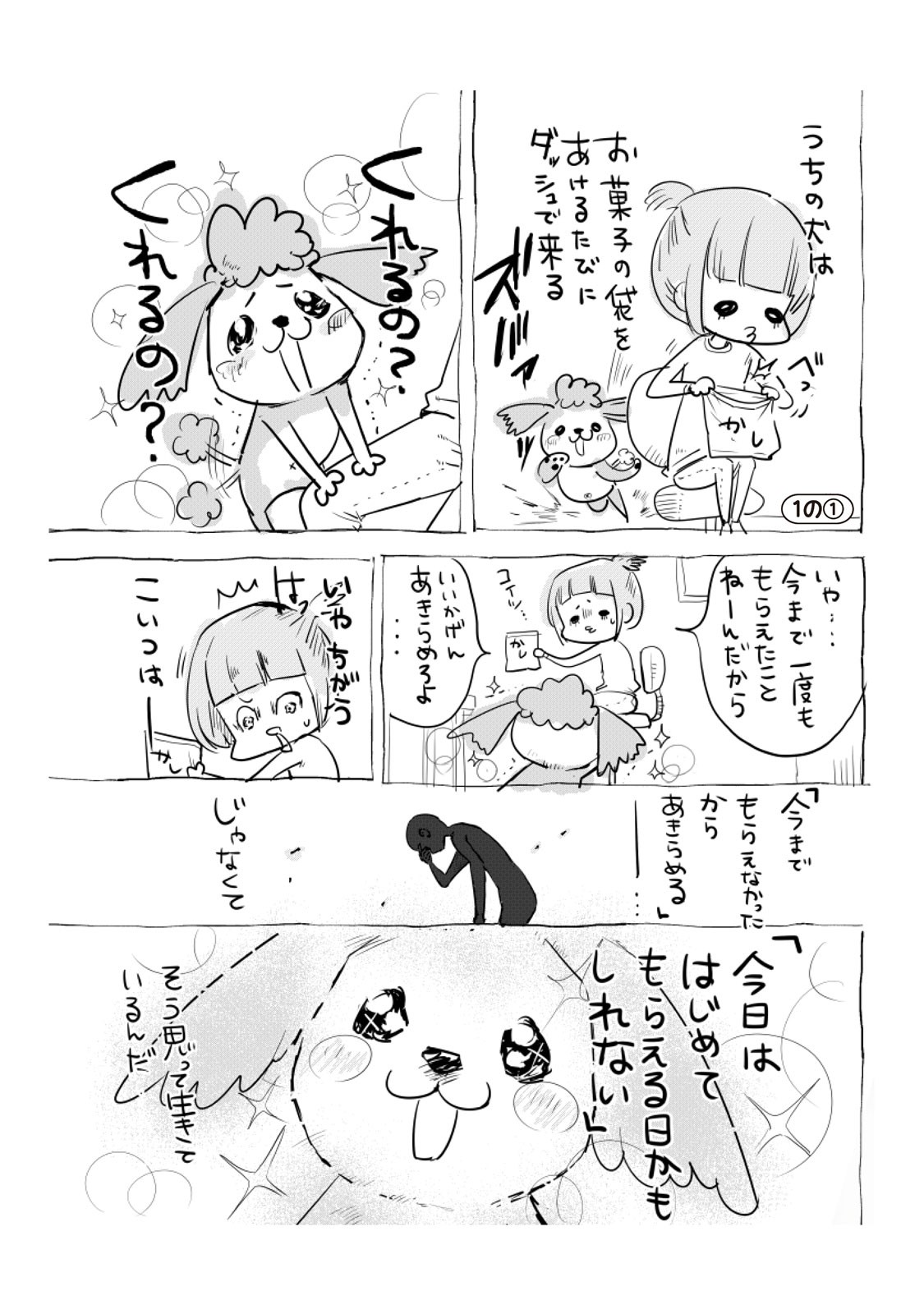 犬と猫どっちも飼ってると毎日たのしい