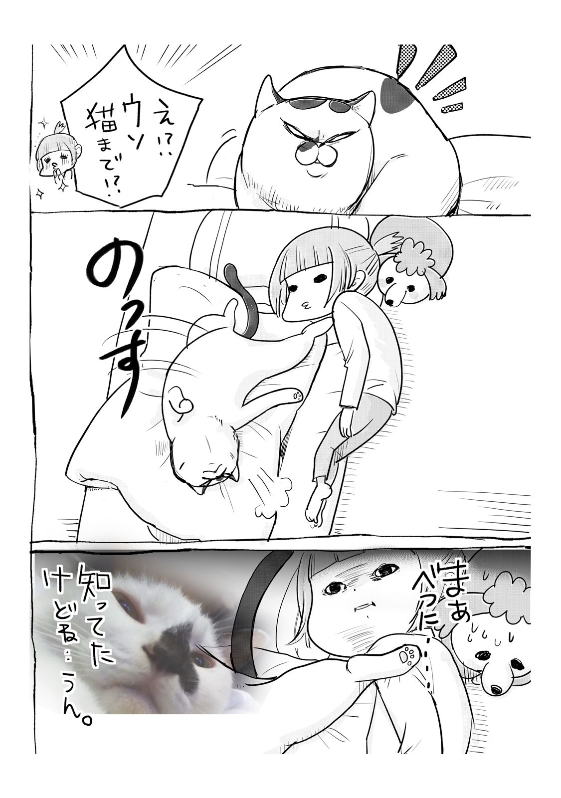 犬と猫どっちも飼ってると毎日たのしい
