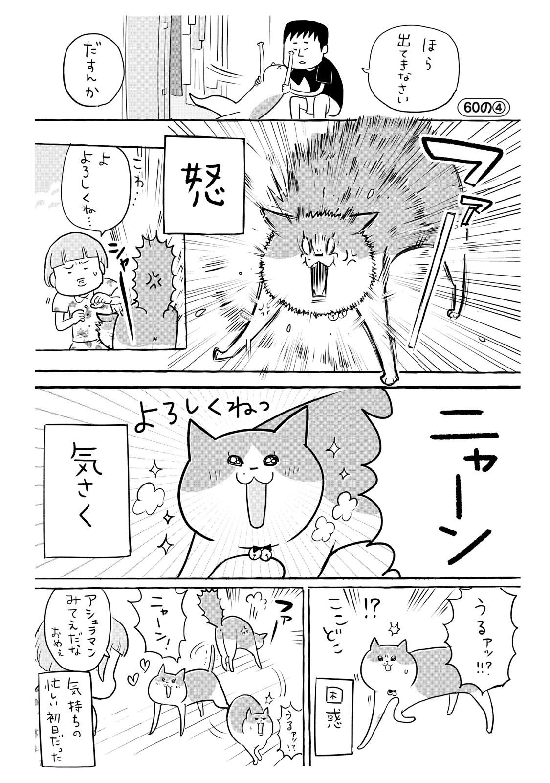 犬と猫どっちも飼ってると毎日たのしい