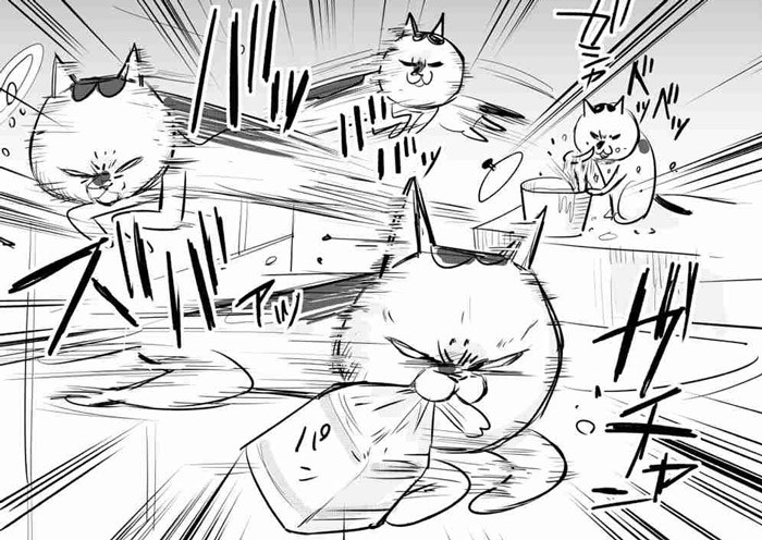 犬と猫どっちも飼ってると毎日たのしい