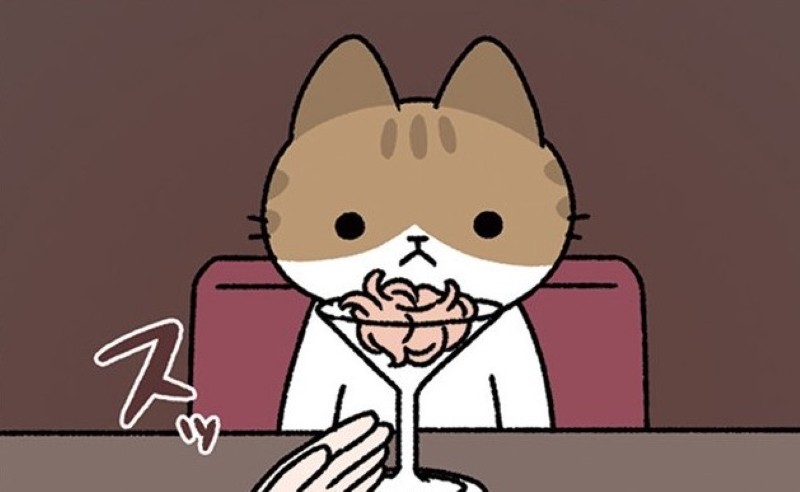 いつもそっけないねこが虜になる！ バーで大好物の鰹節をプレゼント