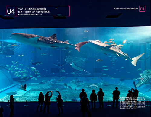 沖縄美ら海水族館を超楽しむ100のこと
