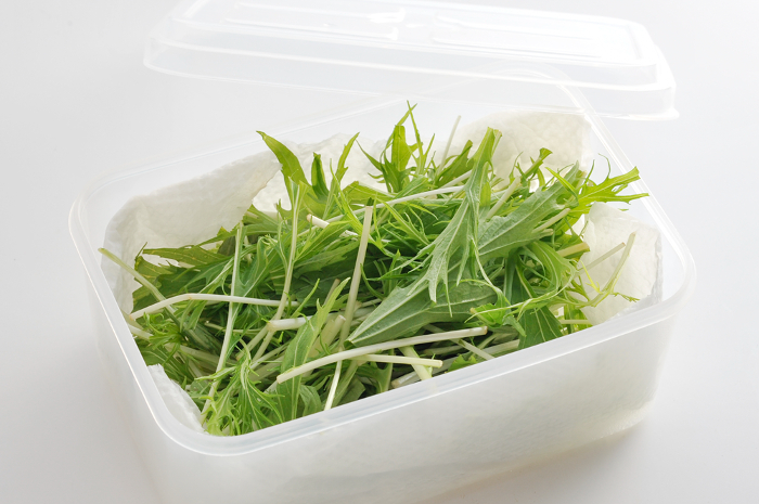 水菜は 10日間 大葉は 3週間 みずみずしいまま長持ち 節約につながる野菜の保存法 ダ ヴィンチweb
