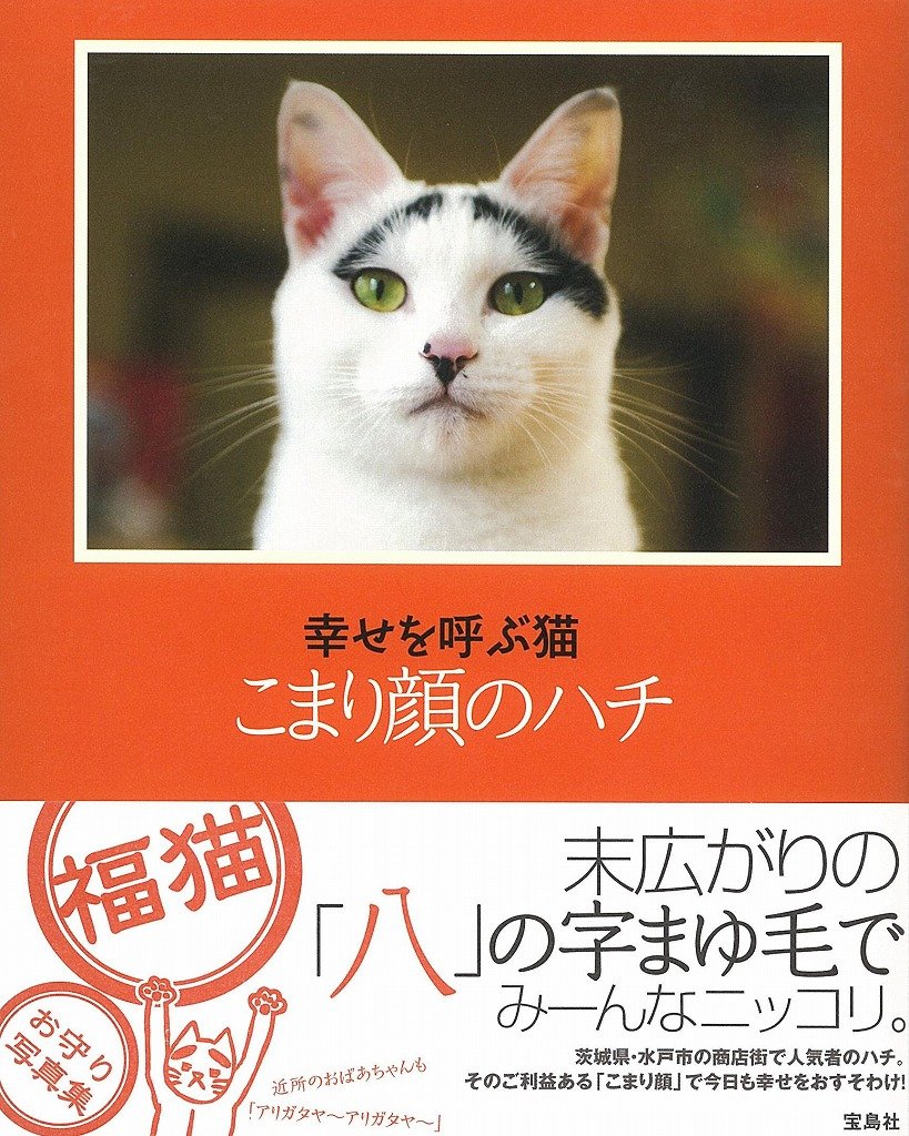 300円 【新品】 猫八商店