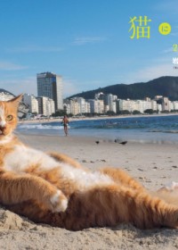 まるで人間のようにビーチに寝そべる“イケメン猫”！ 『アサヒカメラ』に岩合光昭撮影の猫カレンダーが一足早く登場