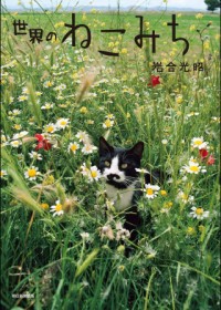 自由気ままな「猫さま」を探して世界を旅する！ 絶景とかわいい猫に癒される『世界のねこみち』
