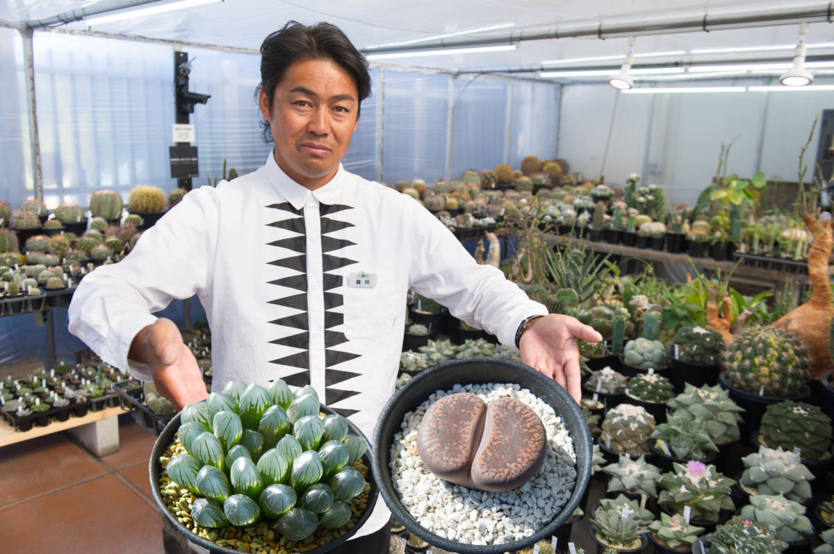 芸人や著名人が通う 世界中の珍奇植物を集めた日本一のセレクトショップ 三代目店主が語る 姿を変える多肉植物 とは 3枚目 全12枚 ダ ヴィンチニュース