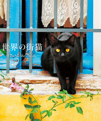 世界の街並みを彩る猫たち 猫好き必携の写真集 世界の街猫 ダ ヴィンチニュース