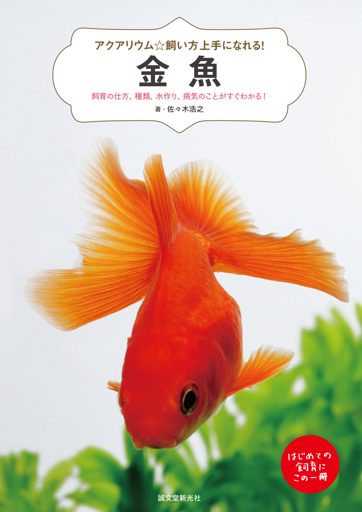金魚を飼ってみたいなら 始めるのは今 かわいい金魚を長生きさせる秘訣も紹介 ダ ヴィンチニュース