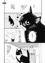 【連載】猫のきもちがわからない　第5話「誘い猫六角 前編」