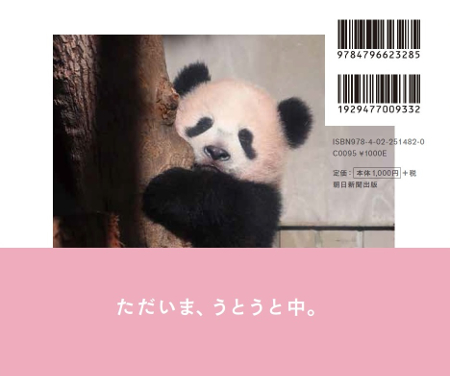 シャンシャン ただいま うとうと中 日本のパンダが勢ぞろい 報道カメラマンが激写したおちゃめなパンダ写真 ダ ヴィンチニュース