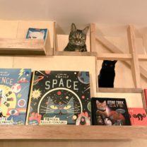 猫に本にビール。夢のような専門書店、三軒茶屋「Cat’s Meow Books」店主おすすめ文庫3選！