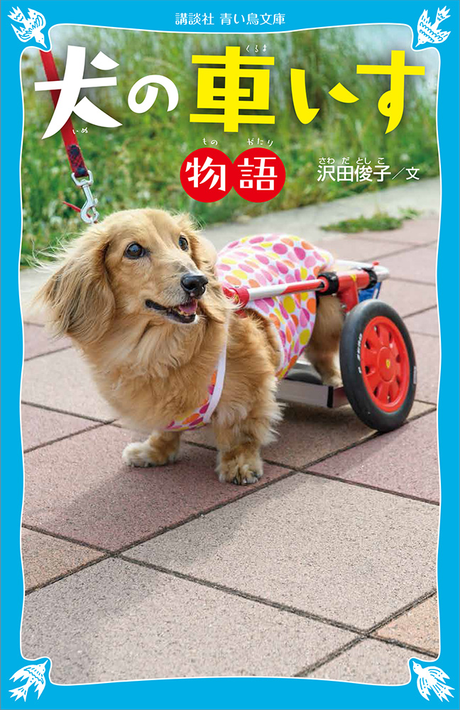 きっかけは愛犬の病気から 犬の車いす を作る仕事を始めた夫婦と 犬たちの感動のドラマ ダ ヴィンチニュース