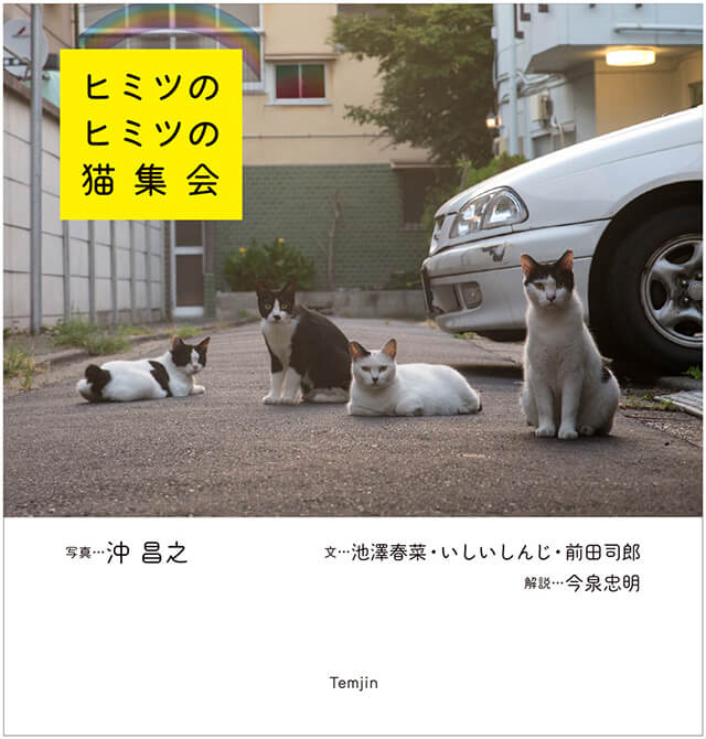 ネコ好きにはたまらないカットが満載 人気の猫写真家 沖昌之と3人の作家たちによる 猫集会 コンセプトブック ダ ヴィンチweb