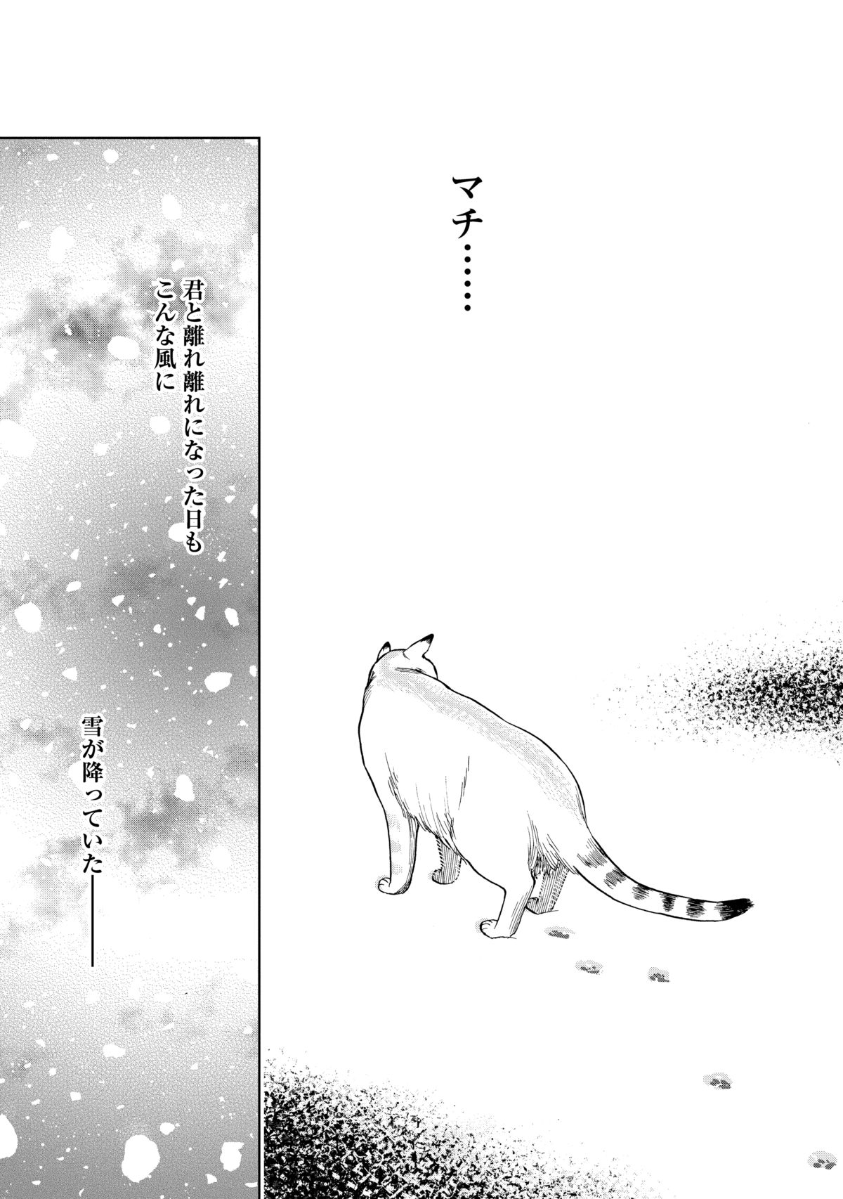 可愛くて切ない、ノラ猫と人間との絆を描いた物語 『ゴジュッセンチの 