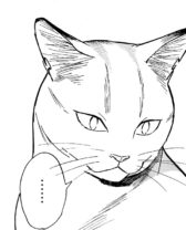 可愛くて切ない、ノラ猫と人間との絆を描いた物語 『ゴジュッセンチの一生』／連載第5回