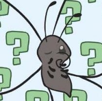 ニシキオオツバメガは見た目がおいしい！？ 『ぴのらぼ おいしい虫さんたち みんなでやりたい虫クイズ』⑤