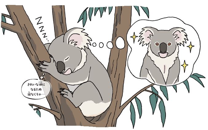 休校中のお子様にも コアラが1日時間近く眠る切ない事情とは 動物 夜 の図鑑にワクワクが止まらない ダ ヴィンチニュース