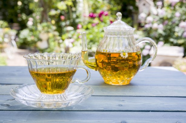 「紅茶」「緑茶」「ウーロン茶」は、実は同じ茶葉から作られる/毎日雑学