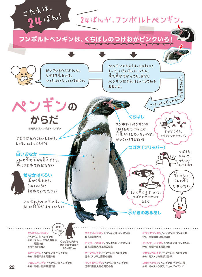 Page 2 2 ペンギンは種類ごとに顔が違う フンボルトペンギンの特徴は どうぶつのかお ならべてみた ダ ヴィンチニュース