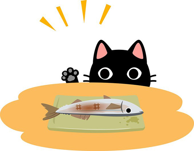 猫が魚好きなのは日本限定 では海外では猫は何を食べるの 毎日雑学 ダ ヴィンチweb