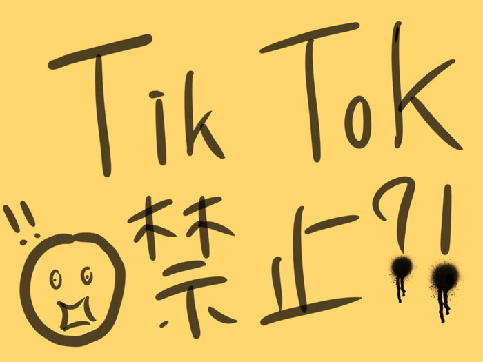 週刊ツリメ Tik Tokが日本で禁止になったら ダ ヴィンチニュース