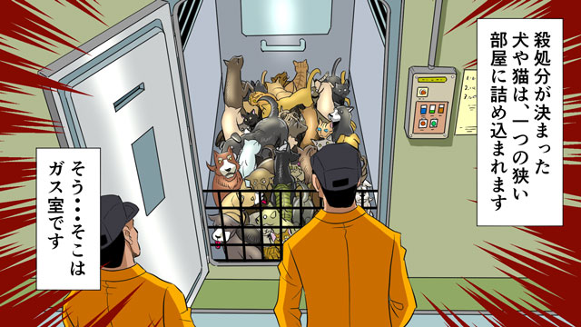 殺処分の現実 捨てられた犬の運命 ガス室に入れられる残虐な末路を漫画にした ヒューマンバグ大学 闇のマンガ ダ ヴィンチニュース