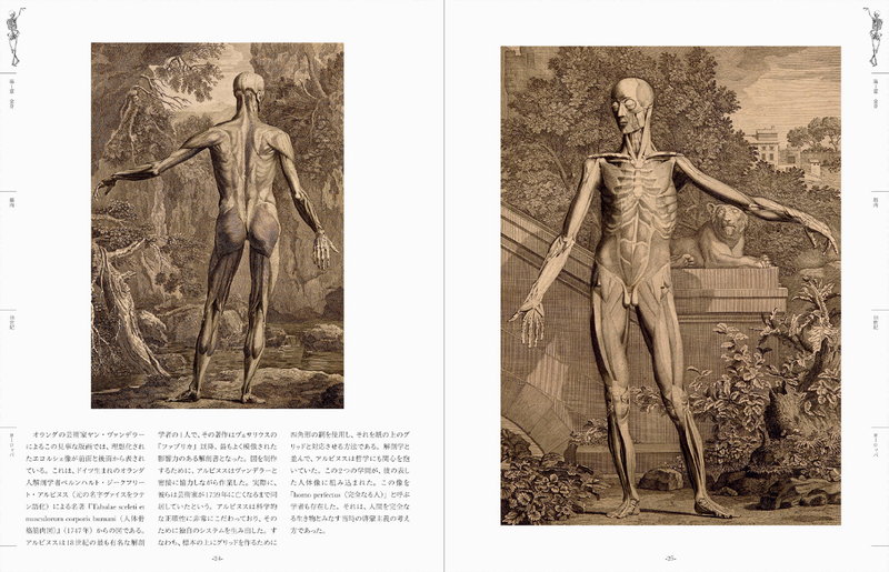 不穏でぞっとするような美しさ 世界中の 人体解剖図 から人間の 中身 を学ぶ ダ ヴィンチニュース