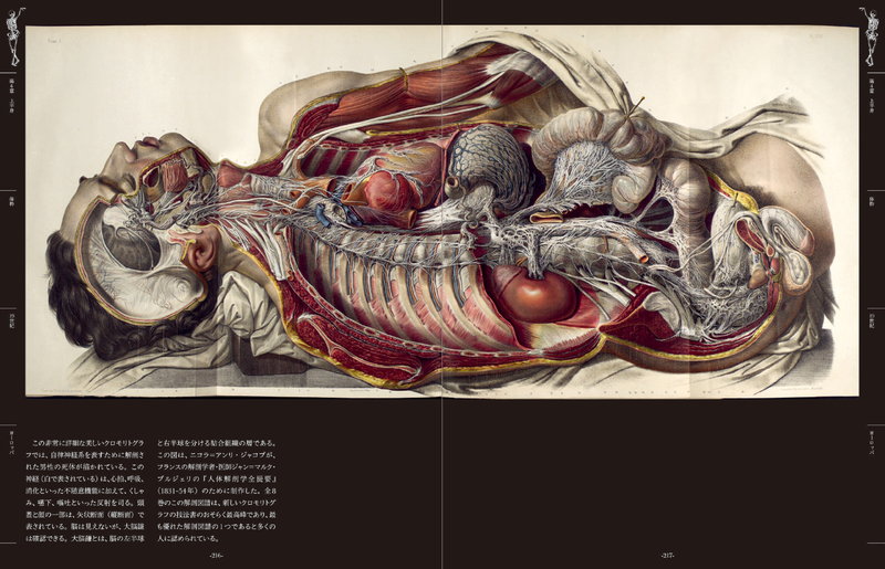 不穏でぞっとするような美しさ 世界中の 人体解剖図 から人間の 中身 を学ぶ ダ ヴィンチweb