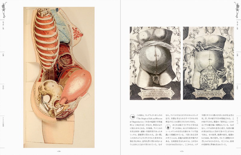 不穏でぞっとするような美しさ 世界中の 人体解剖図 から人間の 中身 を学ぶ ダ ヴィンチニュース