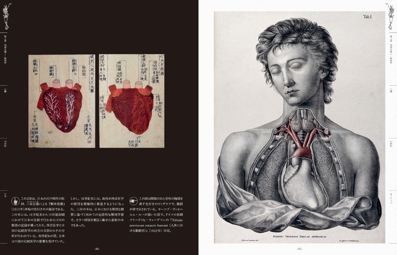 世界の人体解剖図集 美しく不可思議な人体解剖学の芸術