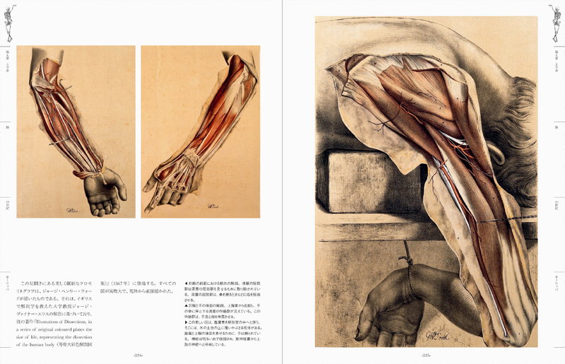 世界の人体解剖図集 美しく不可思議な人体解剖学の芸術