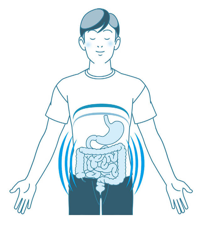 横隔膜の上下運動は内臓にもいい影響が 腹式呼吸で腸内環境を整えよう 一流が実践する人生を変える呼吸法 ダ ヴィンチニュース