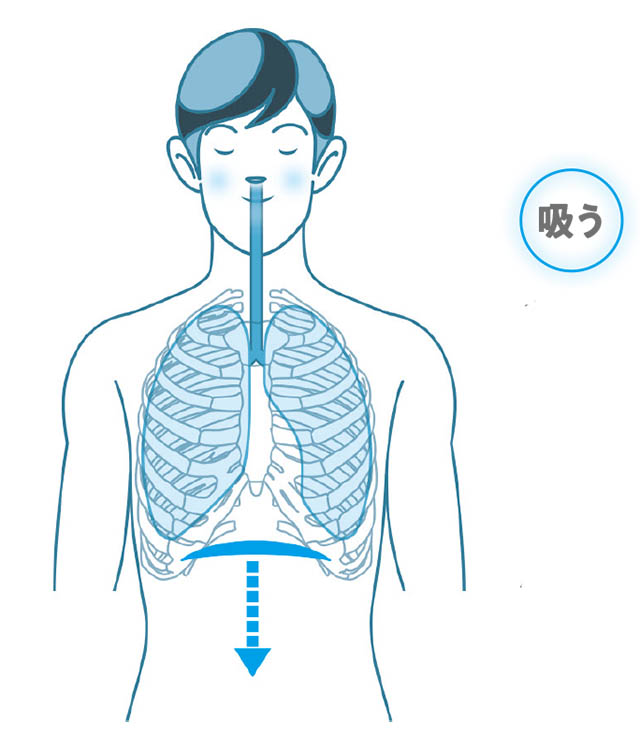 正しい呼吸法のポイントは 横隔膜 柔軟に横隔膜が動いているか セルフチェックしよう 一流が実践する人生を変える呼吸法 ダ ヴィンチニュース