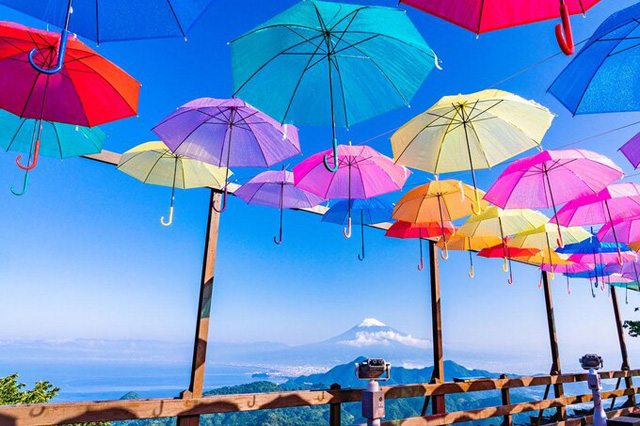 元は雨具ではなく権力の象徴だった！ 日よけとして誕生した傘の歴史を探る/毎日雑学
