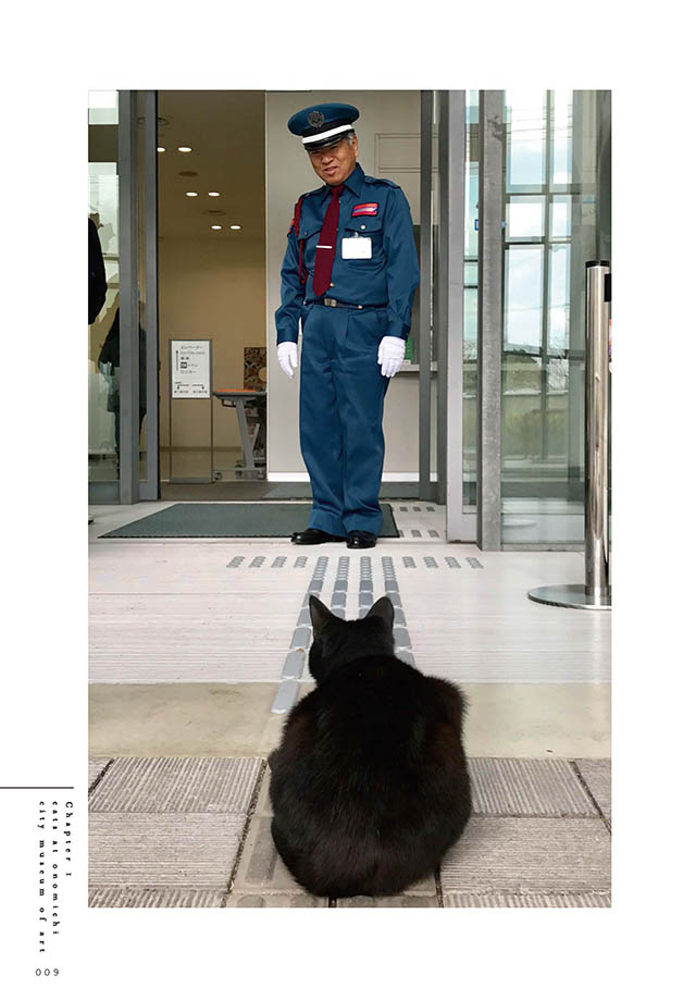 警備員さんと猫