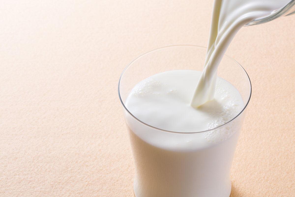 明治初期、牛乳がなかなか普及しなかった理由とは？