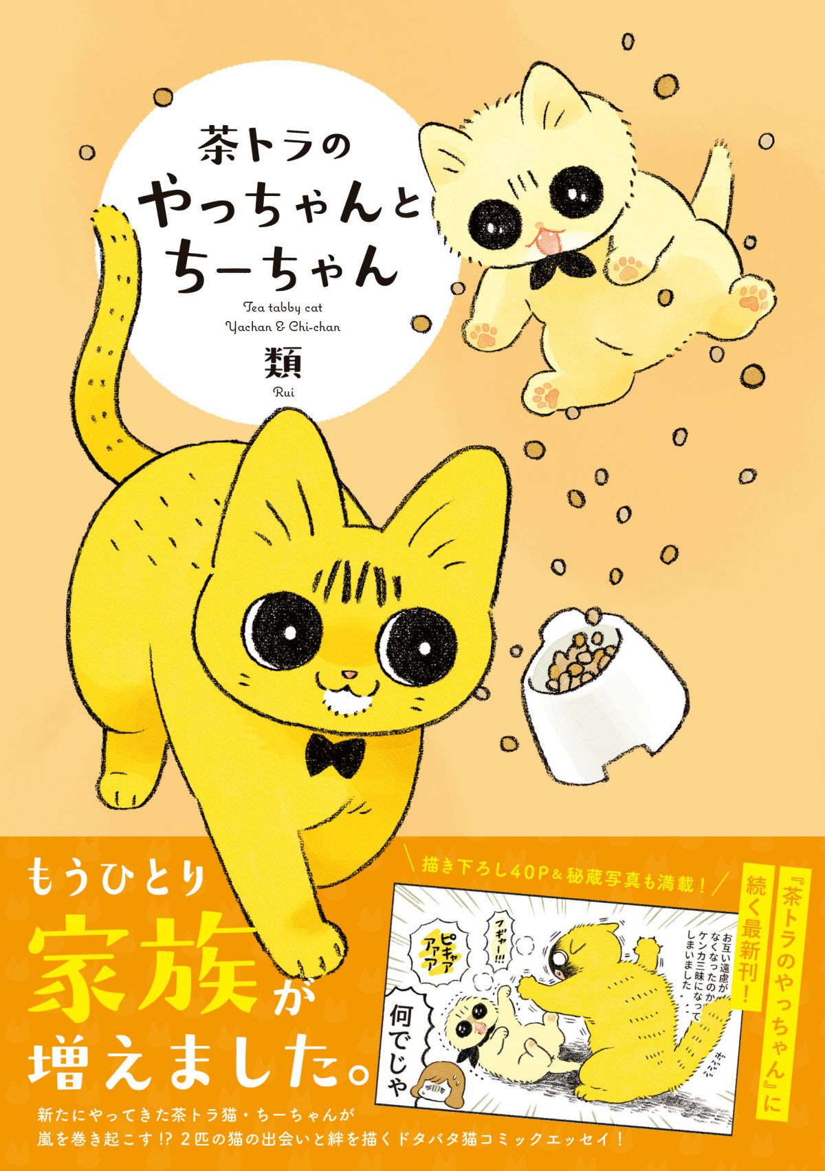 動物愛が炸裂 人気動物漫画家 佐倉イサミさんと類さんが語る 小さな家族 を描く意味 ダ ヴィンチweb