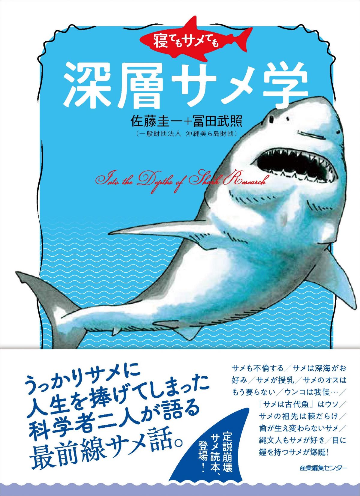 サメの歯化石 (ホホジロザメ) - その他