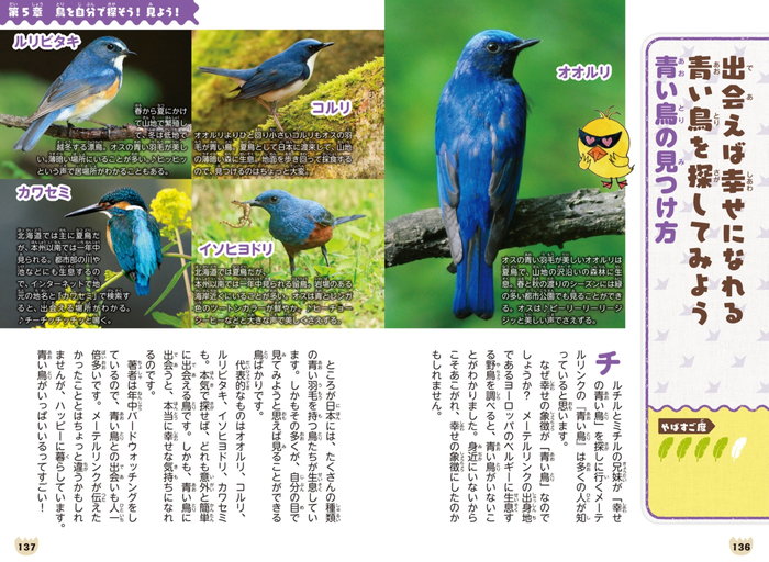 やばすご！ 鳥伝説　鳥たちのビックリ生活 P136-137