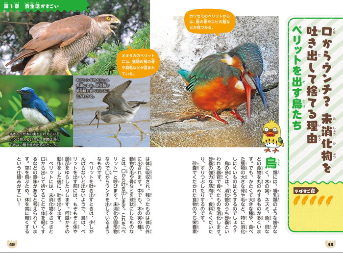 やばすご！ 鳥伝説　鳥たちのビックリ生活 P48-49