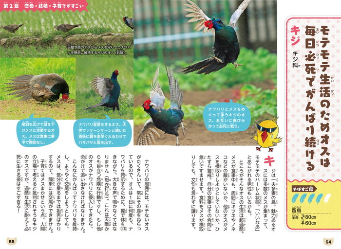 やばすご！ 鳥伝説　鳥たちのビックリ生活 P54-55