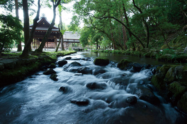 京都 上賀茂神社と水のご縁 葵