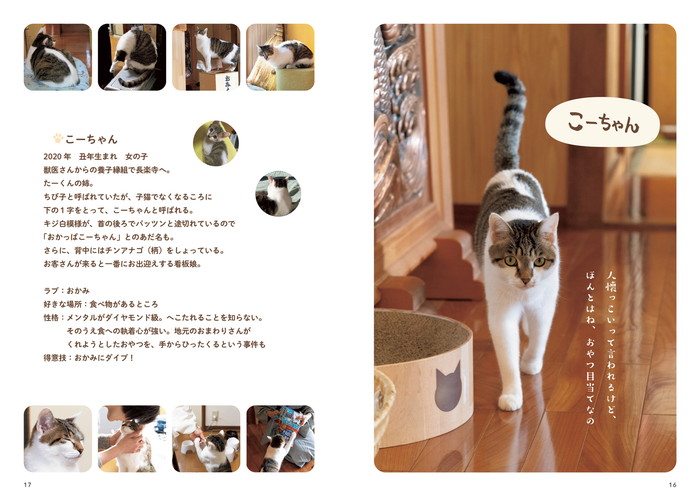 6匹の猫と住職 あるがままに暮らす那須の長楽寺 P16-17