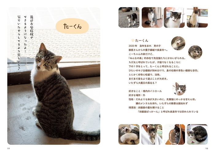 6匹の猫と住職 あるがままに暮らす那須の長楽寺 P18-19