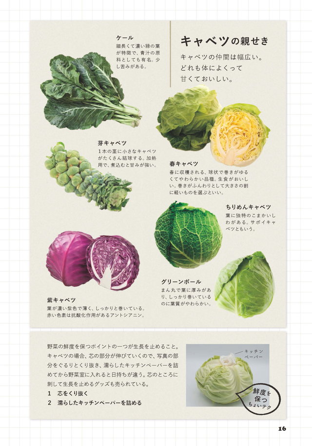 JA全農広報部さんにきいた 世界一おいしい野菜の食べ方 P.16