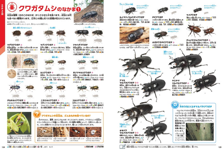 学研の図鑑LIVE 昆虫 新版