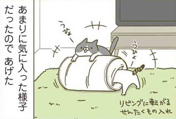 洗濯物入れに入って“大はしゃぎ”！いたずらっ子のシノさんとトンちゃん／うちの猫がまた変なことしてる。