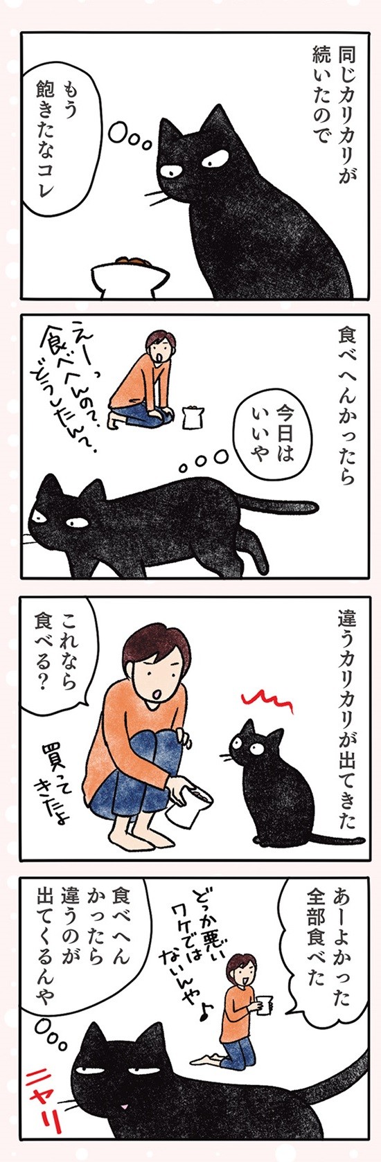 黒猫ナノとキジシロ猫きなこ
